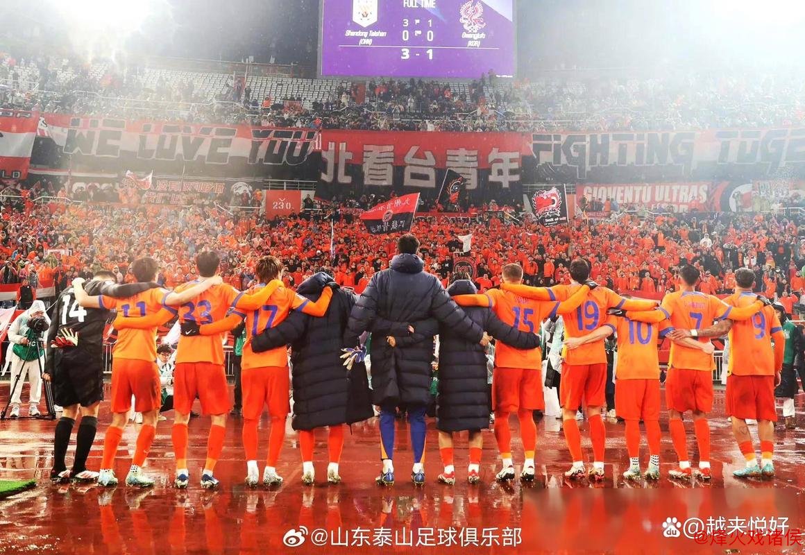 山东泰山队5主力累积三黄 战海港全员可出战 山东泰山队5主力累积三黄 战海港全员可出战