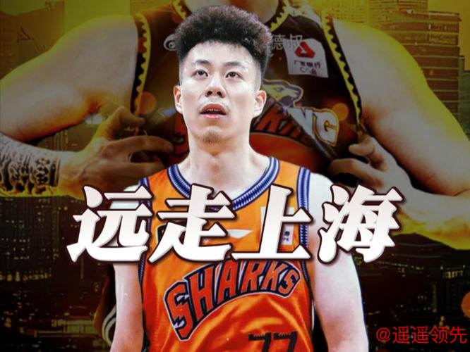 CBA-洛夫顿26+6张镇麟22分 上海40分大胜广东