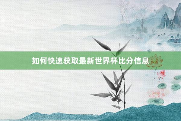 如何快速获取最新世界杯比分信息